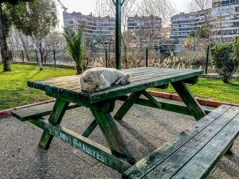 Peaceful Riverside Retreat 10-min Walk To Beach, Steps From National Park In Leilighet Alanya